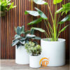 chậu cây composite, chậu trồng cây composite, chậu composite, chậu fiberglass, chậu cây siêu nhẹ, chậu cây xuất khẩu, xưởng sản xuất chậu cây, fiberglass pot, chậu FRP, xuất khẩu chậu cây, chậu cây văn phòng, chậu hiện đại, chậu đẹp, công ty bán chậu cây, chậu composite chữ nhật, chậu composite vuông, chậu composite tròn, chậu composite tròn cao, chậu composite tròn trụ, chậu xi măng nhẹ, chậu xi măng, chậu xi măng vuông, chậu xi măng tròn, chậu xi măng chữ nhật, chậu xi măng trụ, chậu cây xi măng cao cấp, chậu xi măng xuất khẩu, xưởng sản xuất chậu xi măng