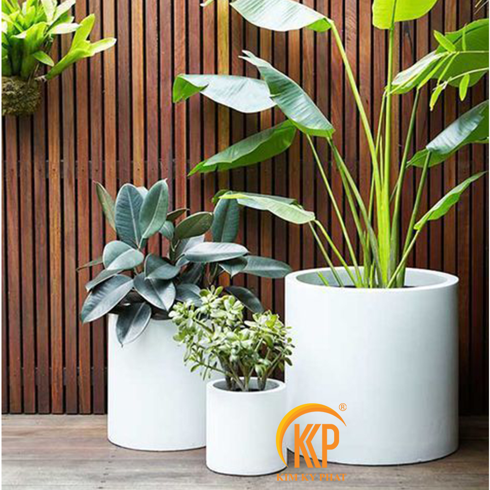 chậu cây composite, chậu trồng cây composite, chậu composite, chậu fiberglass, chậu cây siêu nhẹ, chậu cây xuất khẩu, xưởng sản xuất chậu cây, fiberglass pot, chậu FRP, xuất khẩu chậu cây, chậu cây văn phòng, chậu hiện đại, chậu đẹp, công ty bán chậu cây, chậu composite chữ nhật, chậu composite vuông, chậu composite tròn, chậu composite tròn cao, chậu composite tròn trụ, chậu xi măng nhẹ, chậu xi măng, chậu xi măng vuông, chậu xi măng tròn, chậu xi măng chữ nhật, chậu xi măng trụ, chậu cây xi măng cao cấp, chậu xi măng xuất khẩu, xưởng sản xuất chậu xi măng