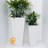 chậu cây composite, chậu trồng cây composite, chậu composite, chậu fiberglass, chậu cây siêu nhẹ, chậu cây xuất khẩu, xưởng sản xuất chậu cây, fiberglass pot, chậu FRP, xuất khẩu chậu cây, chậu cây văn phòng, chậu hiện đại, chậu đẹp, công ty bán chậu cây, chậu composite chữ nhật, chậu composite vuông, chậu composite tròn, chậu composite tròn cao, chậu composite tròn trụ, chậu cpmposite giả đá, chậu giả đá, chậu poly giả đá, chậu polystone, chậu giả đá, chậu nhựa giả đá, chậu cây composite giả đá, kim kỳ phát, kkp
