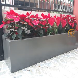 chậu cây composite, chậu trồng cây composite, chậu composite, chậu fiberglass, chậu cây siêu nhẹ, chậu cây xuất khẩu, xưởng sản xuất chậu cây, fiberglass pot, chậu FRP, xuất khẩu chậu cây, chậu cây văn phòng, chậu hiện đại, chậu đẹp, công ty bán chậu cây, chậu composite chữ nhật, chậu composite vuông, chậu composite tròn, chậu composite tròn cao, chậu composite tròn trụ