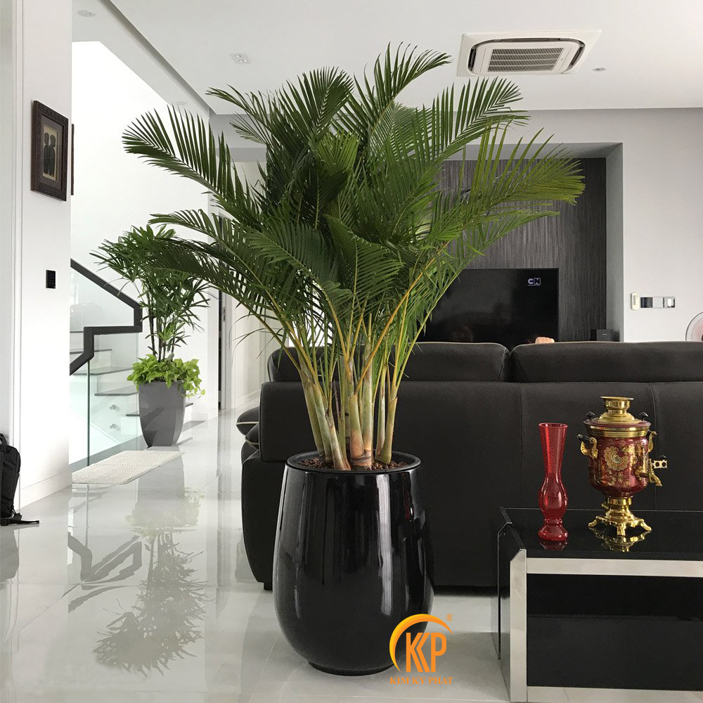 chậu cây composite, chậu trồng cây composite, chậu composite, chậu fiberglass, chậu cây siêu nhẹ, chậu cây xuất khẩu, xưởng sản xuất chậu cây, fiberglass pot, chậu FRP, xuất khẩu chậu cây, chậu cây văn phòng, chậu hiện đại, chậu đẹp, công ty bán chậu cây, chậu composite chữ nhật, chậu composite vuông, chậu composite tròn, chậu composite tròn cao, chậu composite tròn trụ