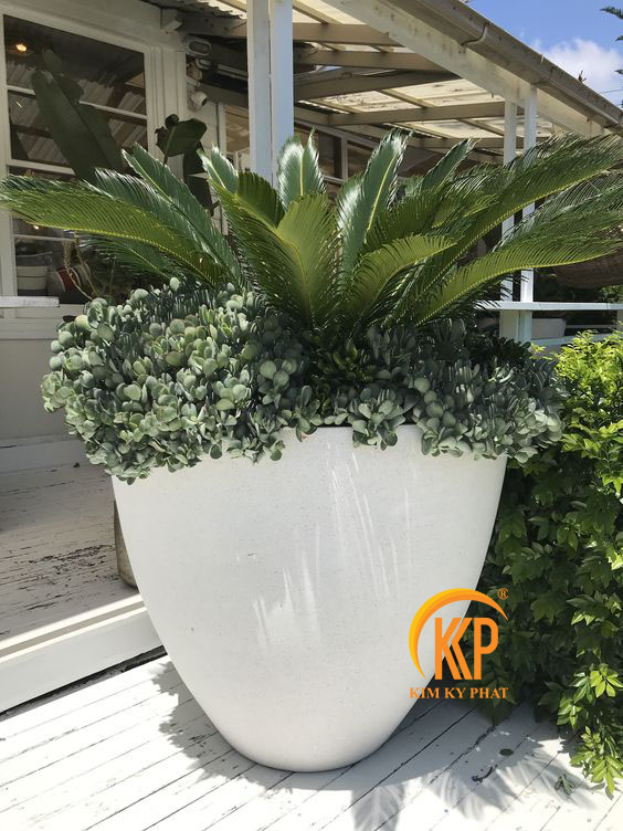 chậu cây composite, chậu trồng cây composite, chậu composite, chậu fiberglass, chậu cây siêu nhẹ, chậu cây xuất khẩu, xưởng sản xuất chậu cây, fiberglass pot, chậu FRP, xuất khẩu chậu cây, chậu cây văn phòng, chậu hiện đại, chậu đẹp, công ty bán chậu cây, chậu composite chữ nhật, chậu composite vuông, chậu composite tròn, chậu composite tròn cao, chậu composite tròn trụ