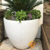 chậu cây composite, chậu trồng cây composite, chậu composite, chậu fiberglass, chậu cây siêu nhẹ, chậu cây xuất khẩu, xưởng sản xuất chậu cây, fiberglass pot, chậu FRP, xuất khẩu chậu cây, chậu cây văn phòng, chậu hiện đại, chậu đẹp, công ty bán chậu cây, chậu composite chữ nhật, chậu composite vuông, chậu composite tròn, chậu composite tròn cao, chậu composite tròn trụ, chậu cpmposite giả đá, chậu giả đá, chậu poly giả đá, chậu polystone, chậu giả đá, chậu nhựa giả đá, chậu cây composite giả đá, kim kỳ phát, kkp