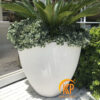 chậu cây composite, chậu trồng cây composite, chậu composite, chậu fiberglass, chậu cây siêu nhẹ, chậu cây xuất khẩu, xưởng sản xuất chậu cây, fiberglass pot, chậu FRP, xuất khẩu chậu cây, chậu cây văn phòng, chậu hiện đại, chậu đẹp, công ty bán chậu cây, chậu composite chữ nhật, chậu composite vuông, chậu composite tròn, chậu composite tròn cao, chậu composite tròn trụ, chậu cpmposite giả đá, chậu giả đá, chậu poly giả đá, chậu polystone, chậu giả đá, chậu nhựa giả đá, chậu cây composite giả đá, kim kỳ phát, kkp