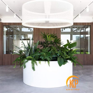 chậu cây composite, chậu trồng cây composite, chậu composite, chậu fiberglass, chậu cây siêu nhẹ, chậu cây xuất khẩu, xưởng sản xuất chậu cây, fiberglass pot, chậu FRP, xuất khẩu chậu cây, chậu cây văn phòng, chậu hiện đại, chậu đẹp, công ty bán chậu cây, chậu composite chữ nhật, chậu composite vuông, chậu composite tròn, chậu composite tròn cao, chậu composite tròn trụ