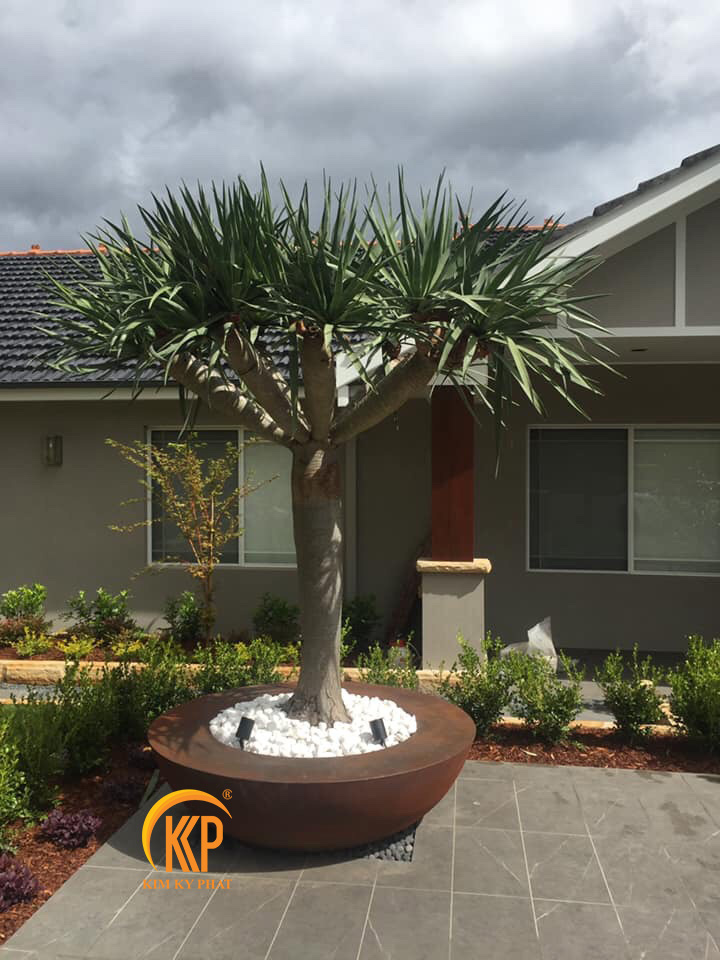 chậu cây composite, chậu trồng cây composite, chậu composite, chậu fiberglass, chậu cây siêu nhẹ, chậu cây xuất khẩu, xưởng sản xuất chậu cây, fiberglass pot, chậu FRP, xuất khẩu chậu cây, chậu cây văn phòng, chậu hiện đại, chậu đẹp, công ty bán chậu cây, chậu composite chữ nhật, chậu composite vuông, chậu composite tròn, chậu composite tròn cao, chậu composite tròn trụ