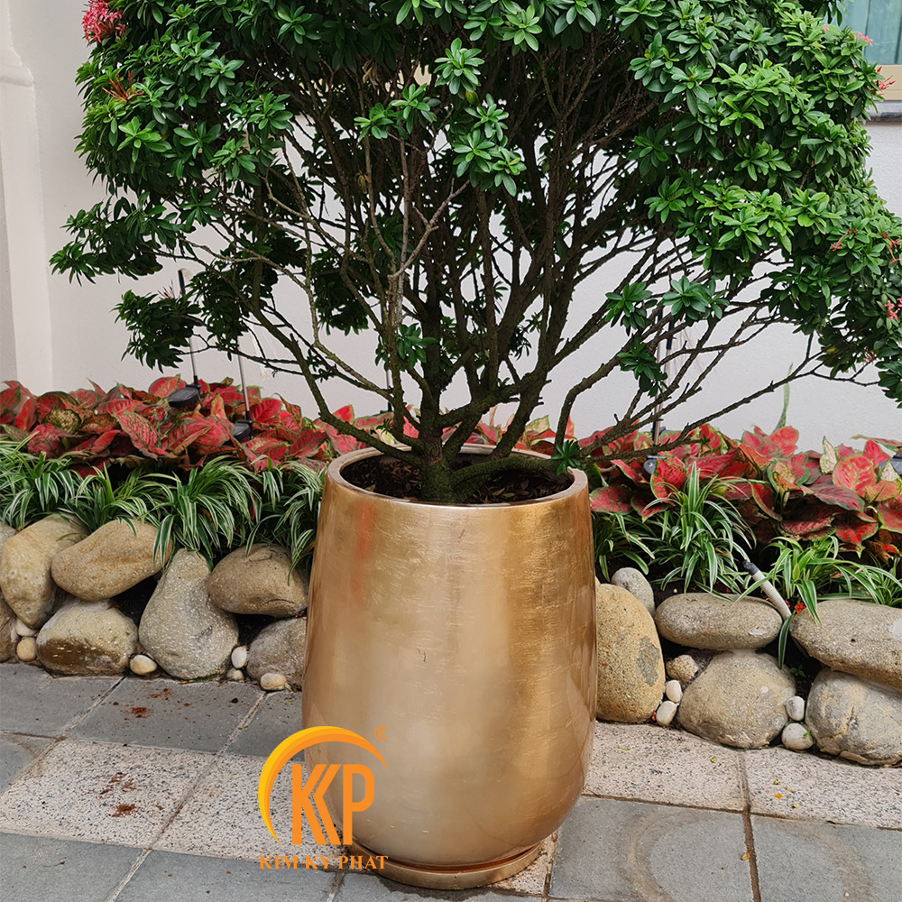 chậu cây composite, chậu trồng cây composite, chậu composite, chậu fiberglass, chậu cây siêu nhẹ, chậu cây xuất khẩu, xưởng sản xuất chậu cây, fiberglass pot, chậu FRP, xuất khẩu chậu cây, chậu cây văn phòng, chậu hiện đại, chậu đẹp, công ty bán chậu cây, chậu composite chữ nhật, chậu composite vuông, chậu composite tròn, chậu composite tròn cao, chậu composite tròn trụ, chậu composite dán vàng bạc