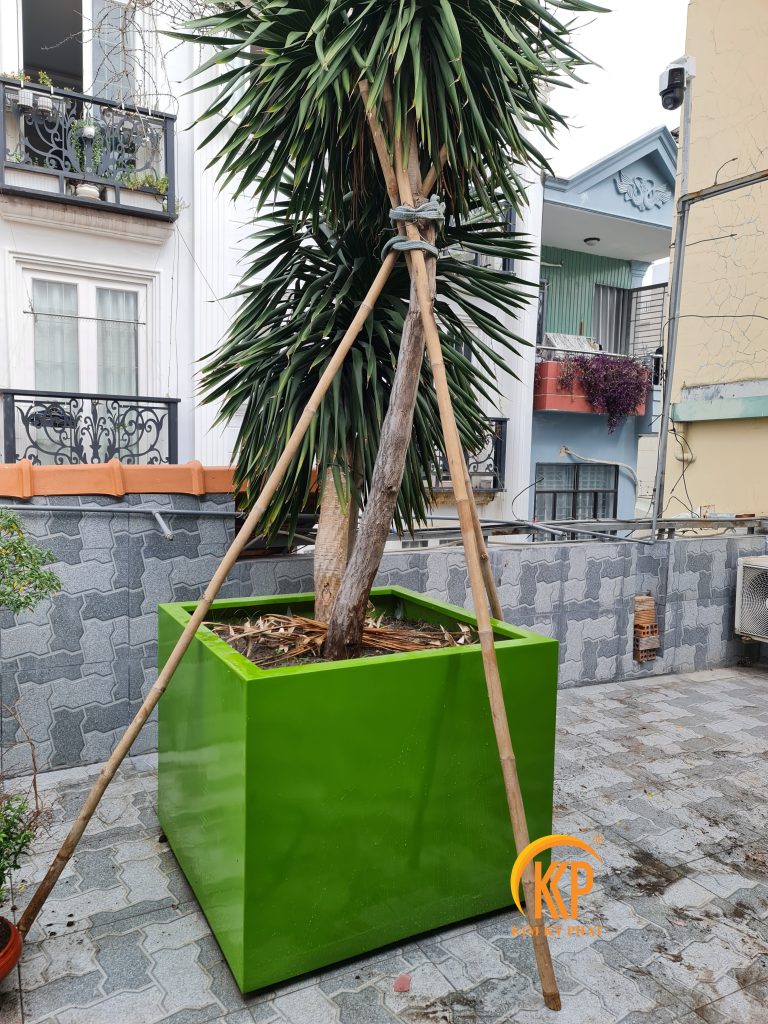 Chậu composite hình vuông kích thước lớn trọng lượng nhẹ và bền.